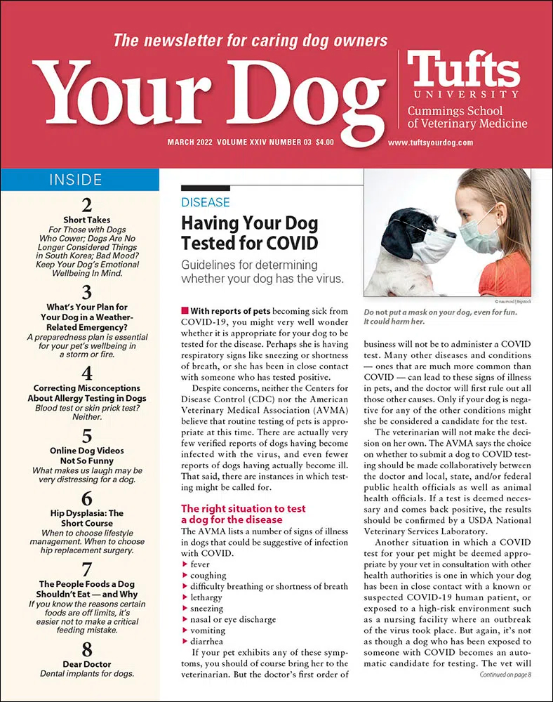 Your-Dog March 01, 2022 Issue Cover