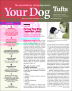 Your-Dog March 01, 2022 Issue Cover