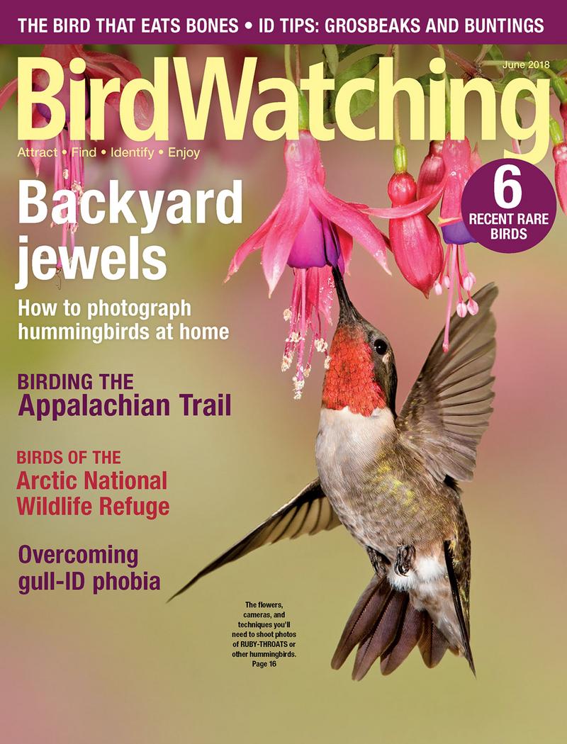 Bird-Watching May 01, 2018 Issue Cover