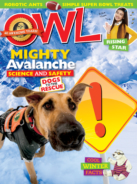 OWL January 01, 2016 Issue Cover
