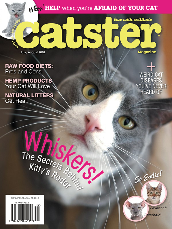 Catster July 01, 2018 Issue Cover