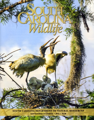 South Carolina Wildlife September 01, 2013 Issue Cover