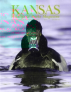 Kansas-Wildlife-and-Parks May 01, 2017 Issue Cover
