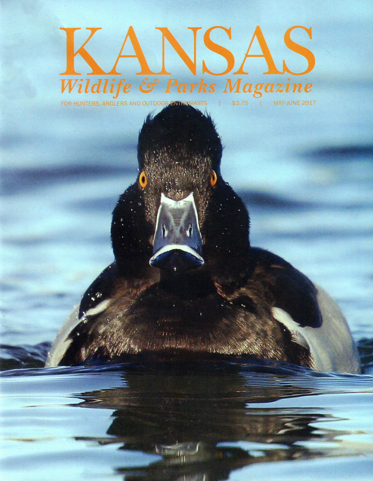 Kansas-Wildlife-and-Parks May 01, 2017 Issue Cover