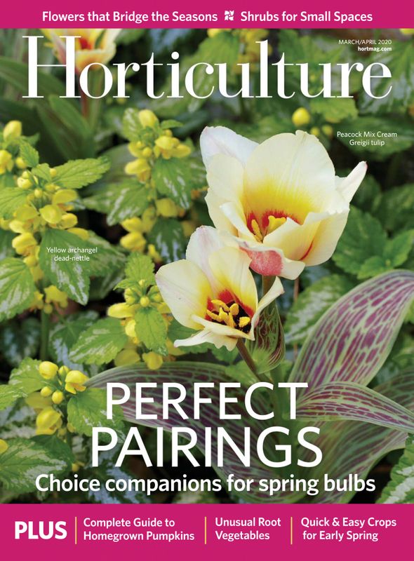Horticulture March 01, 2020 Issue Cover