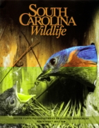 South-Carolina-Wildlife March 01, 2014 Issue Cover