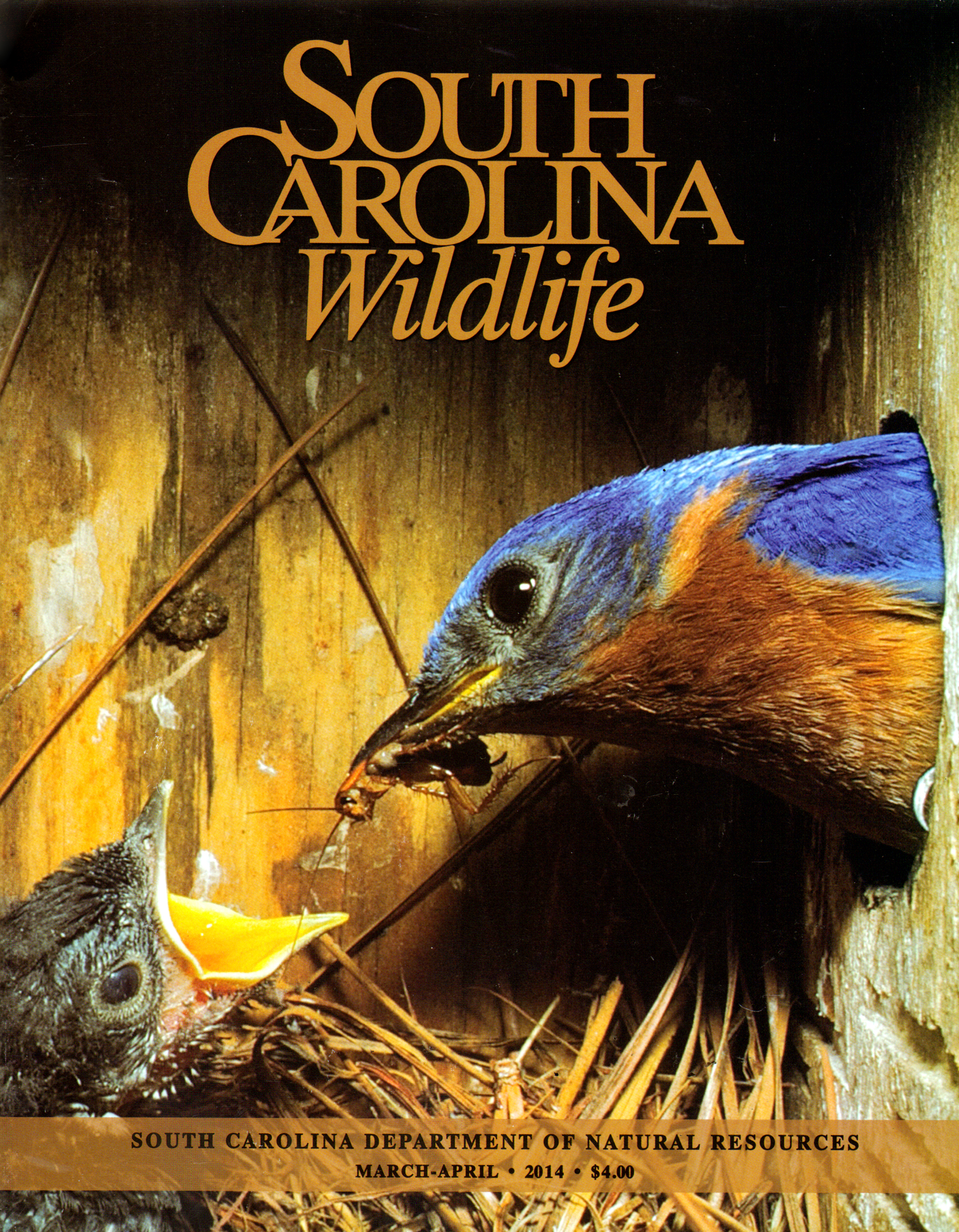 South-Carolina-Wildlife March 01, 2014 Issue Cover