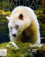Natural-History July 01, 2018 Issue Cover