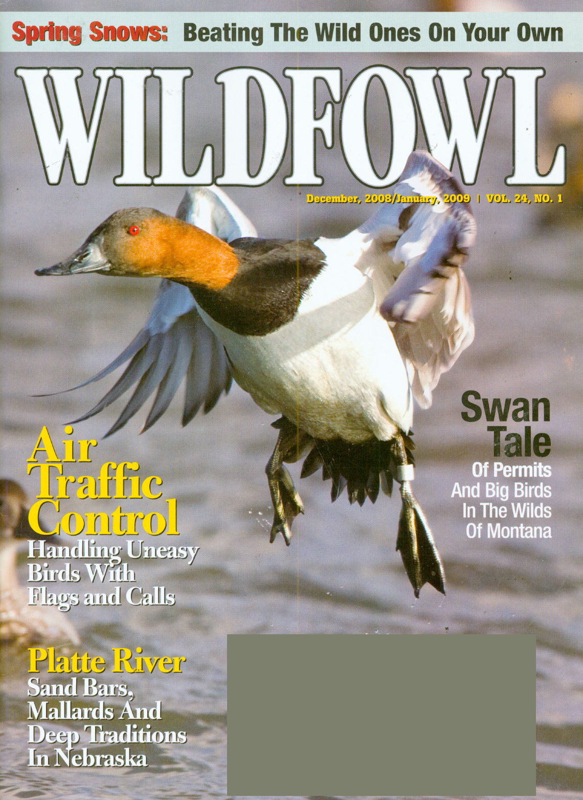 Wildfowl December 01, 2008 Issue Cover