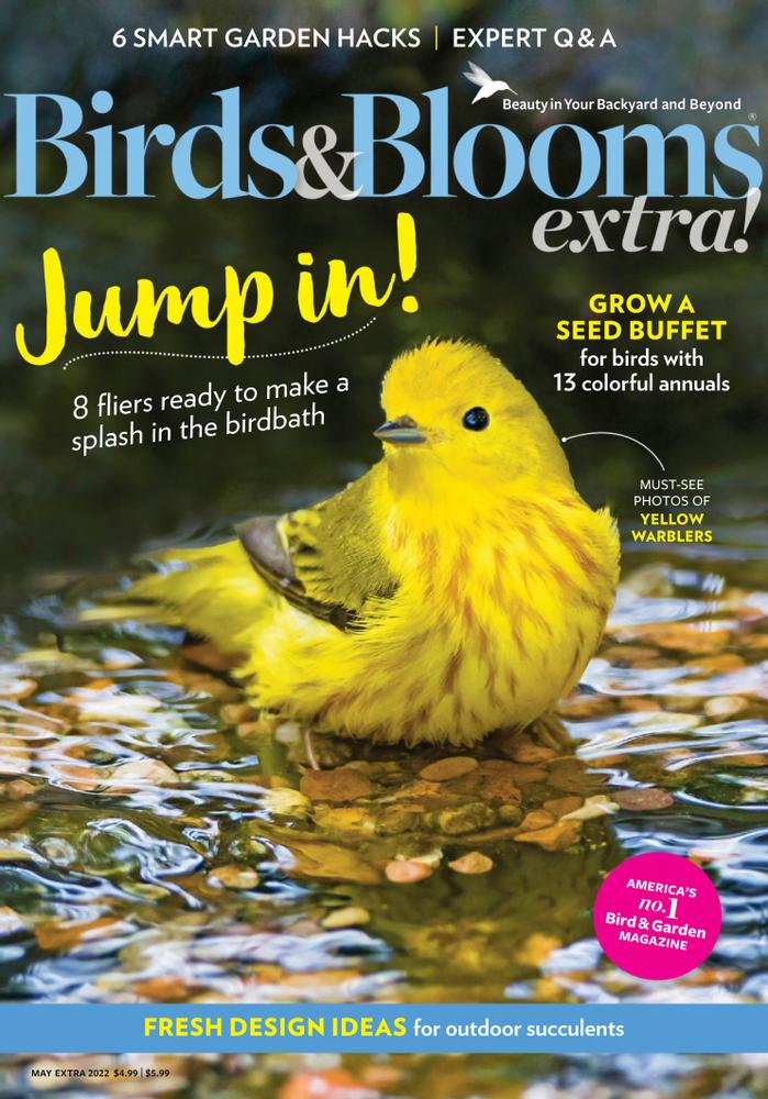 Birds Blooms Extra Subscription