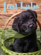 Just-Labs March 01, 2025 Issue Cover