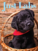 Just Labs March 01, 2025 Issue Cover