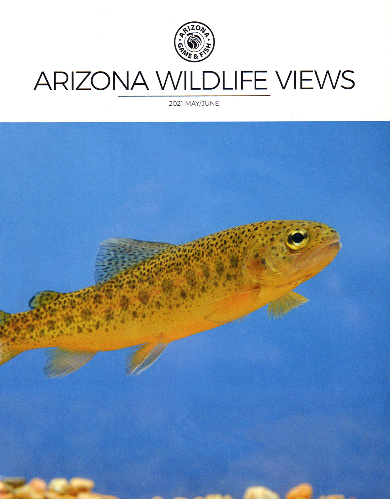 Arizona-Wildlife-Views May 01, 2021 Issue Cover