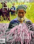 Natural-History September 01, 2023 Issue Cover
