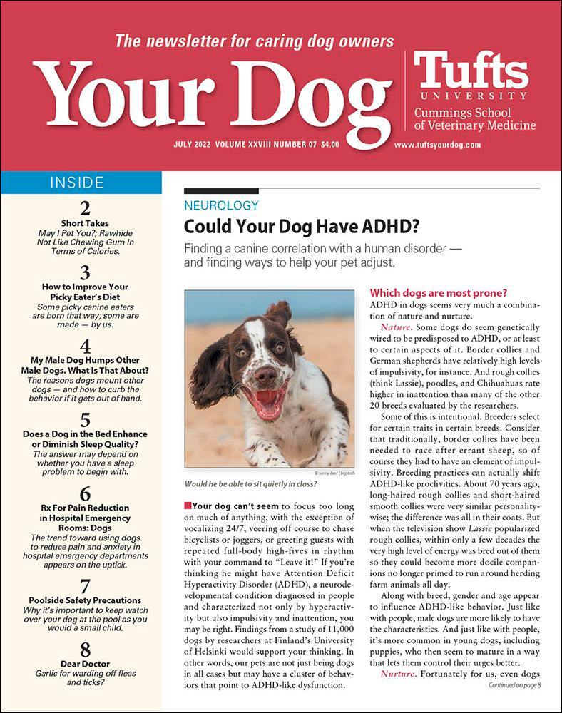 Your-Dog July 01, 2022 Issue Cover