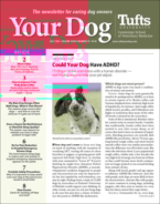 Your-Dog July 01, 2022 Issue Cover