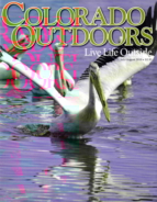 Colorado-Outdoors July 01, 2019 Issue Cover