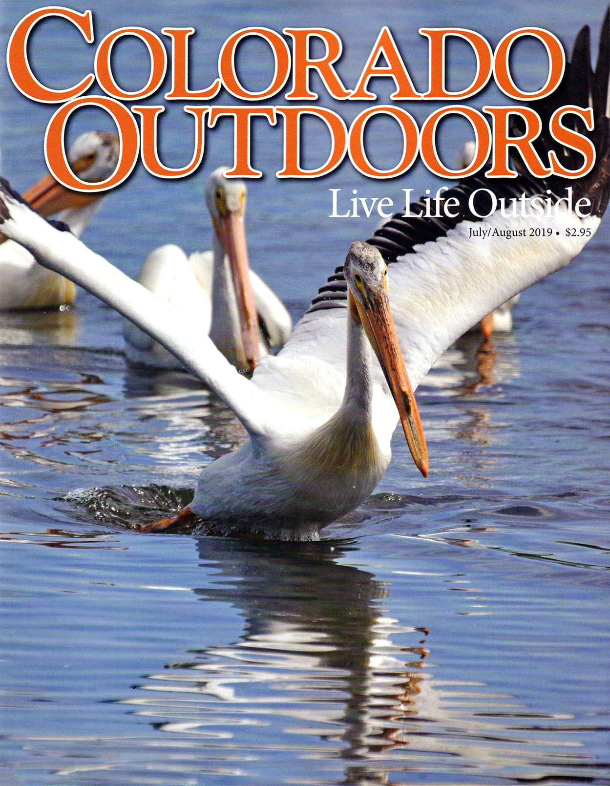 Colorado-Outdoors July 01, 2019 Issue Cover