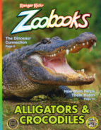 Zoobooks November 01, 2022 Issue Cover