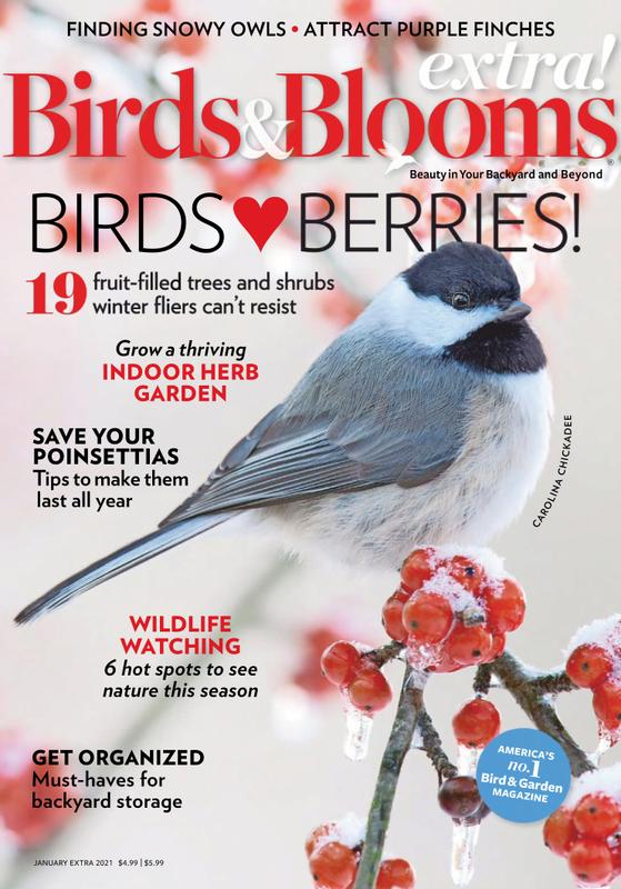 Birds-and-Blooms-Extra January 01, 2021 Issue Cover