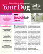 Your-Dog November 01, 2020 Issue Cover