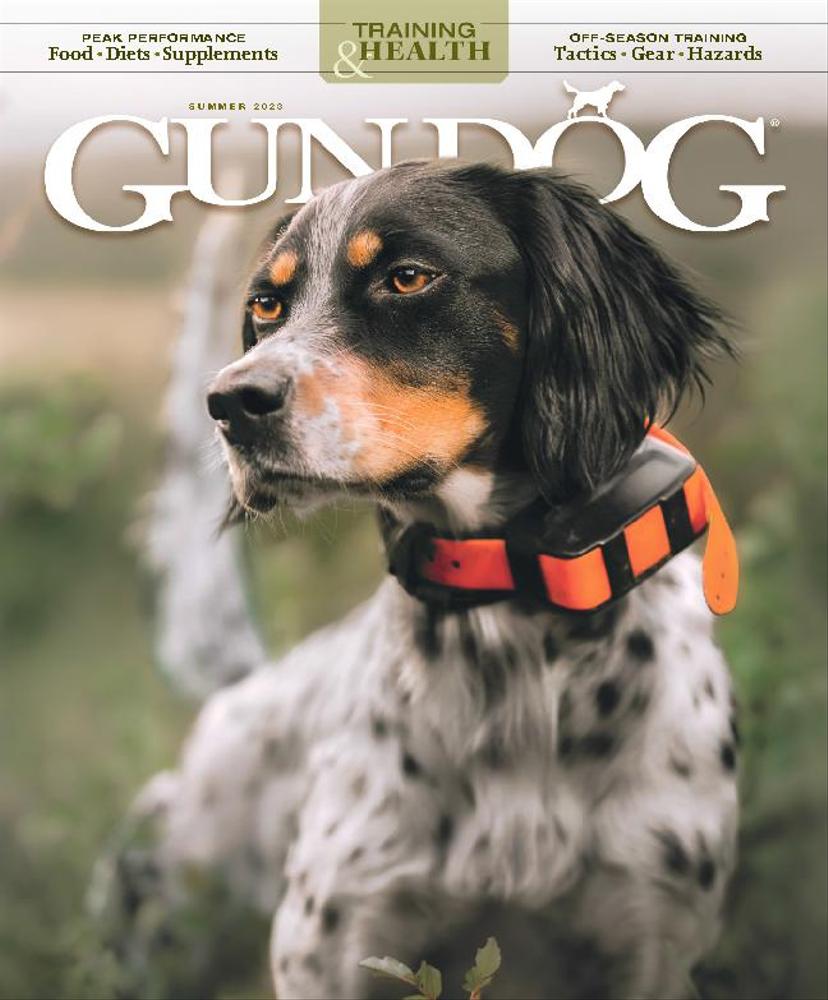 Gun-Dog June 01, 2023 Issue Cover