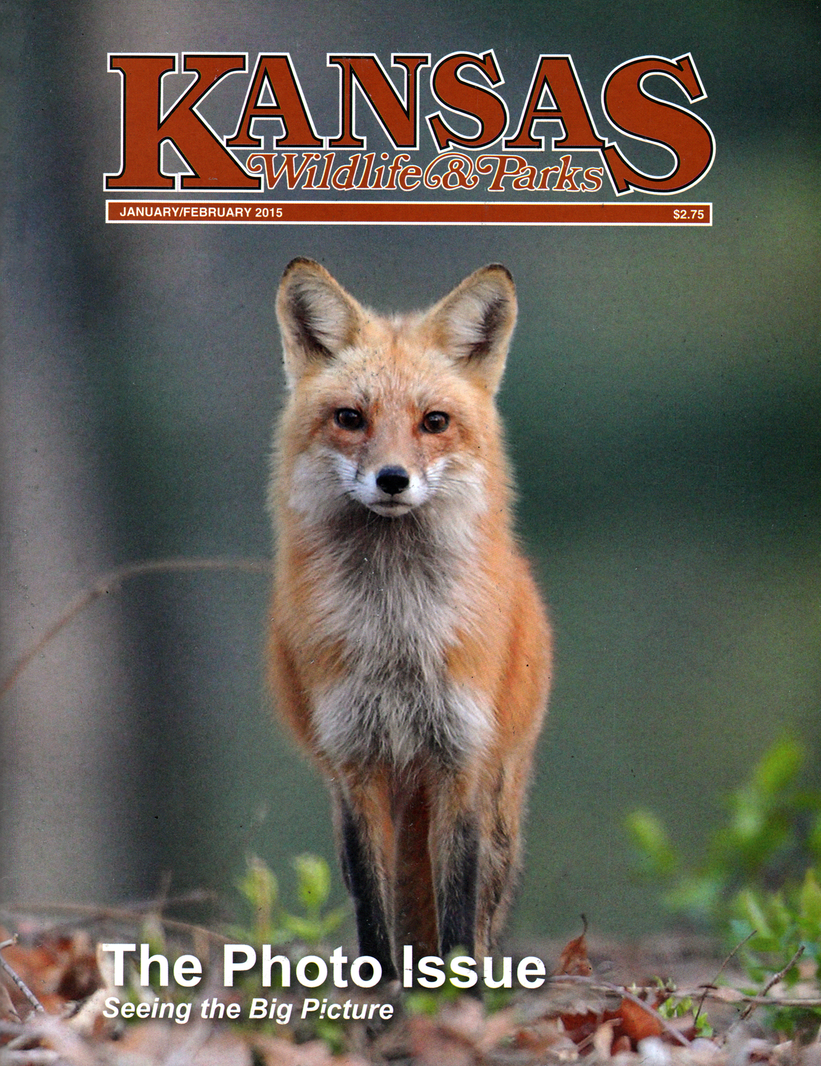 Kansas-Wildlife-and-Parks January 01, 2015 Issue Cover