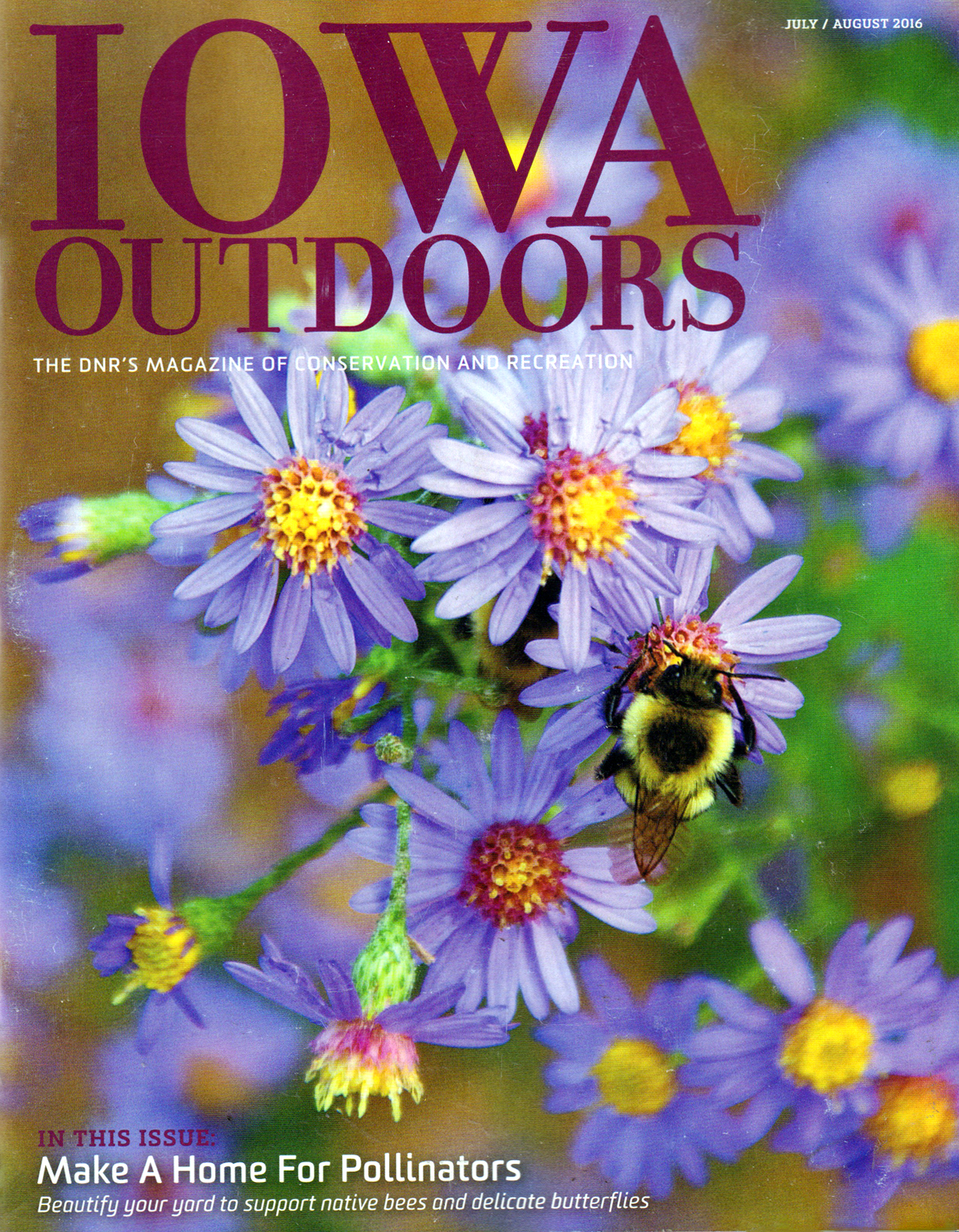 Iowa-Outdoors July 01, 2016 Issue Cover