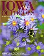 Iowa-Outdoors July 01, 2016 Issue Cover