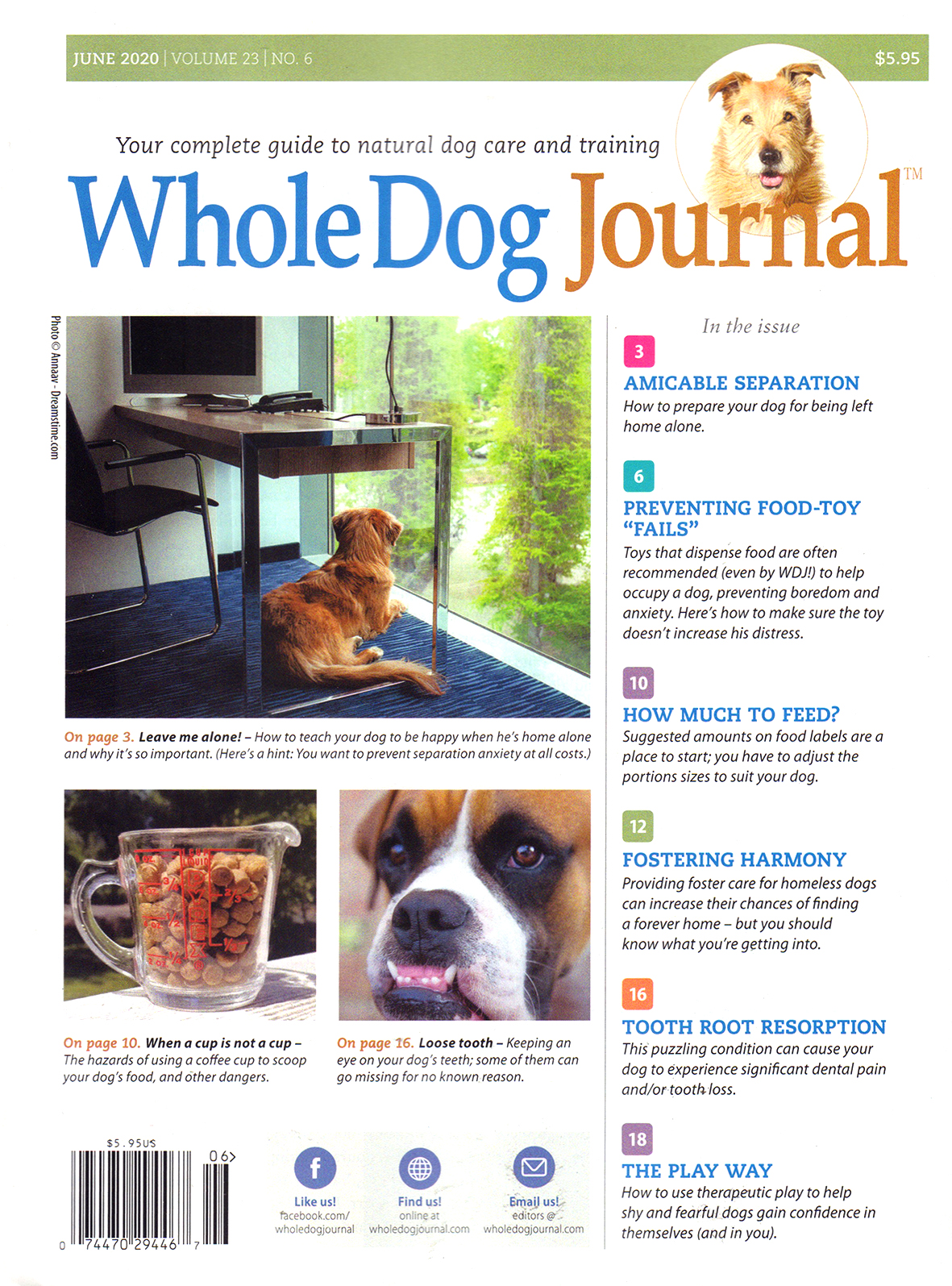 Whole-Dog-Journal June 01, 2020 Issue Cover