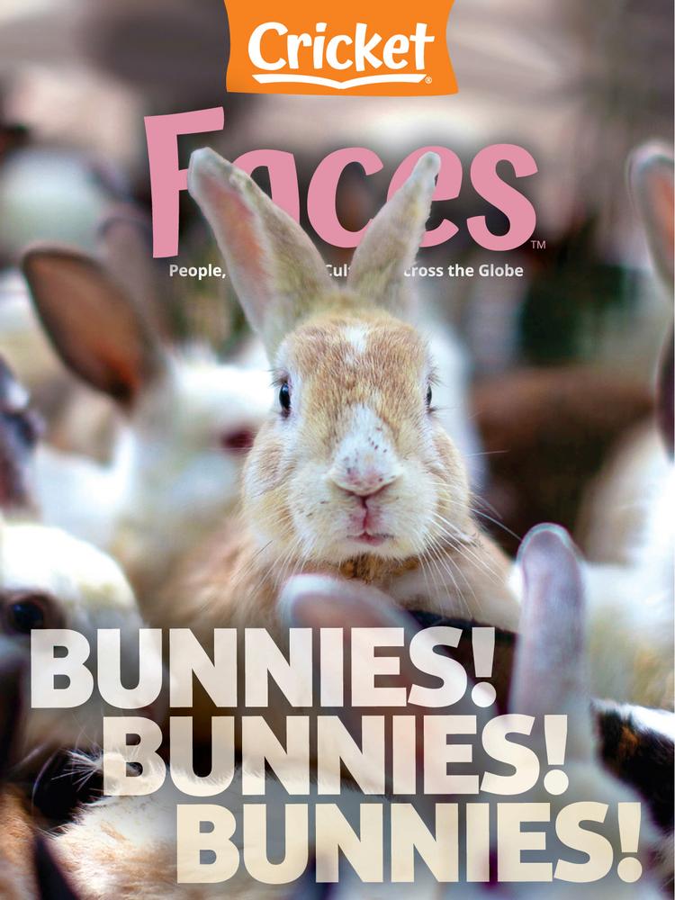 Subscribe to Faces Magazine and Explore the World