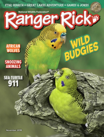 Ranger Rick November 01, 2018 Issue Cover