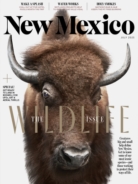 New-Mexico July 01, 2025 Issue Cover