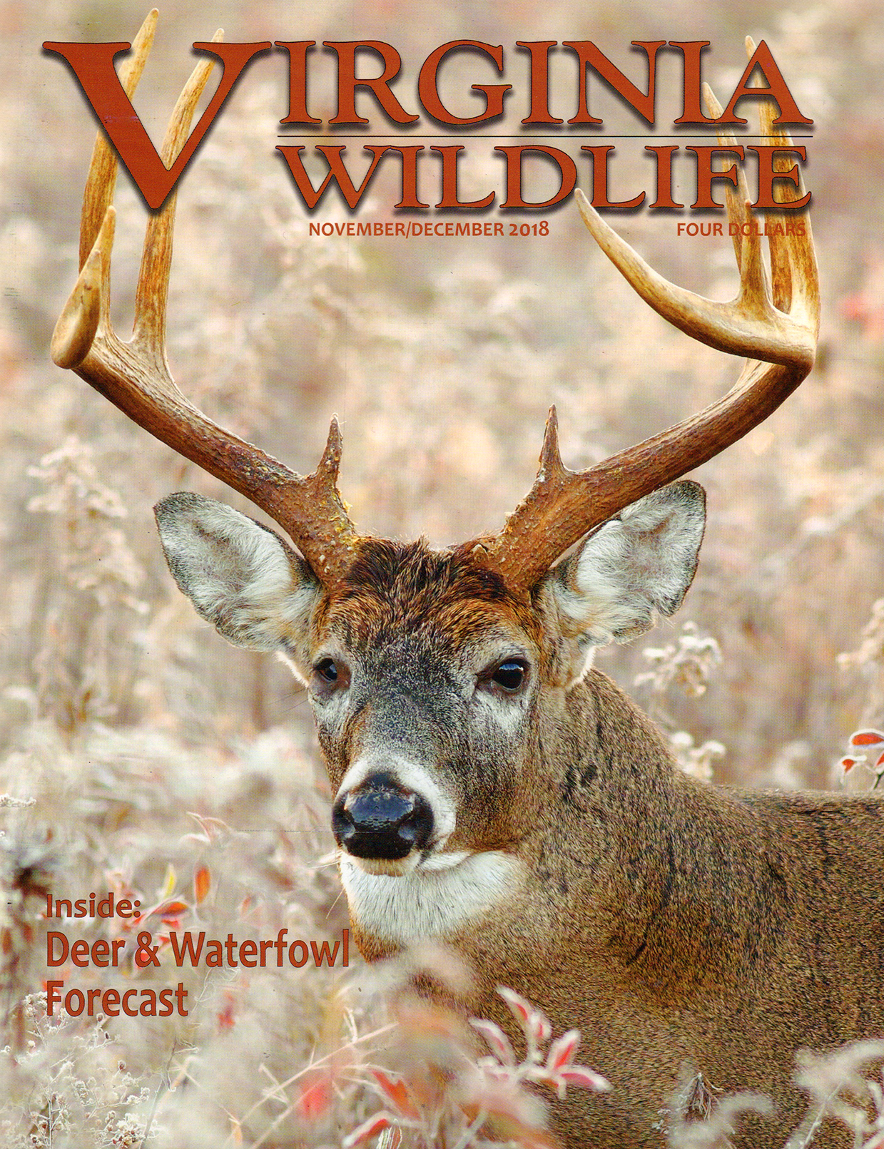 Virginia-Wildlife November 01, 2018 Issue Cover