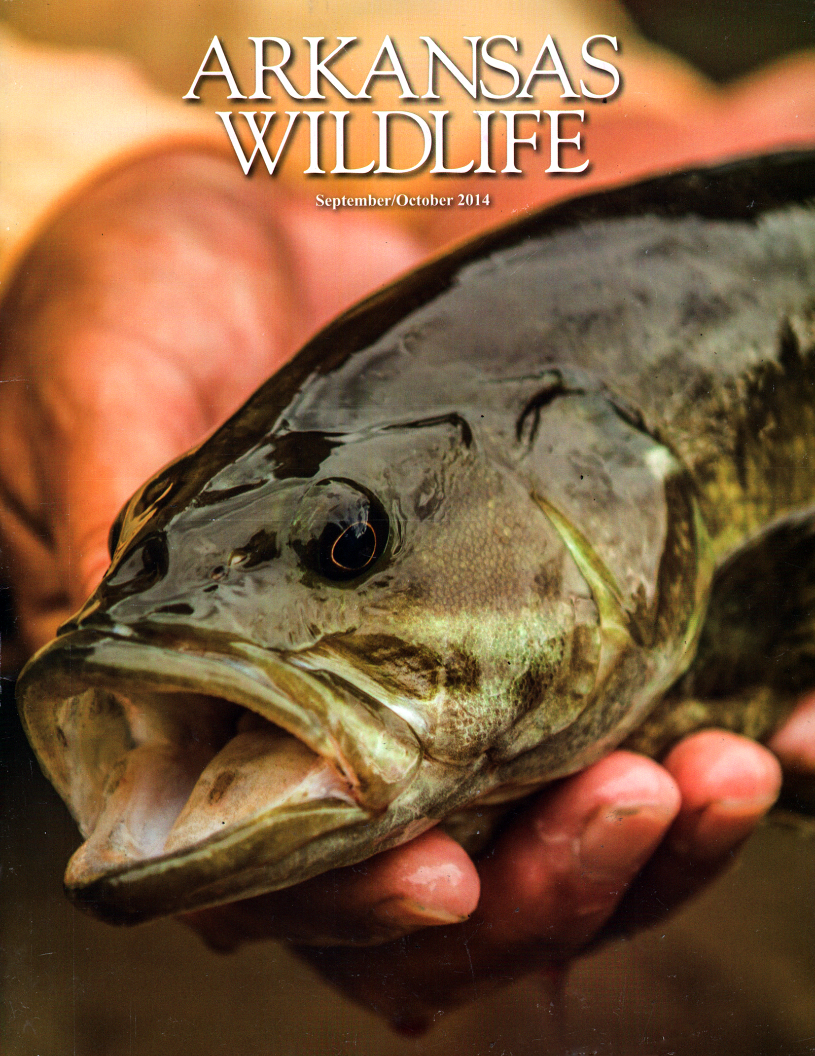 Arkansas-Wildlife September 01, 2014 Issue Cover