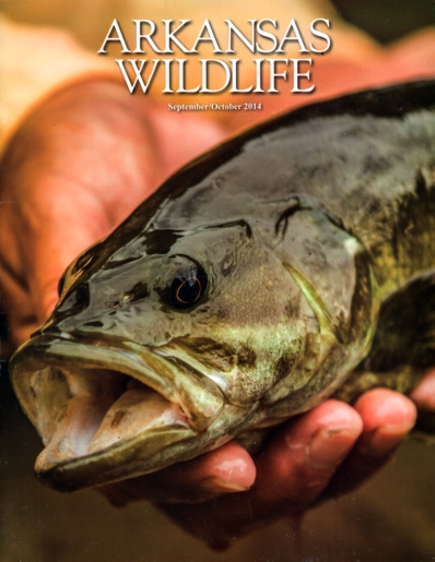 Arkansas Wildlife September 01, 2014 Issue Cover
