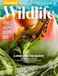 National Wildlife June 01, 2025 Issue Cover