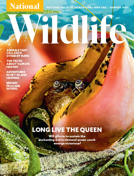 National-Wildlife June 01, 2025 Issue Cover