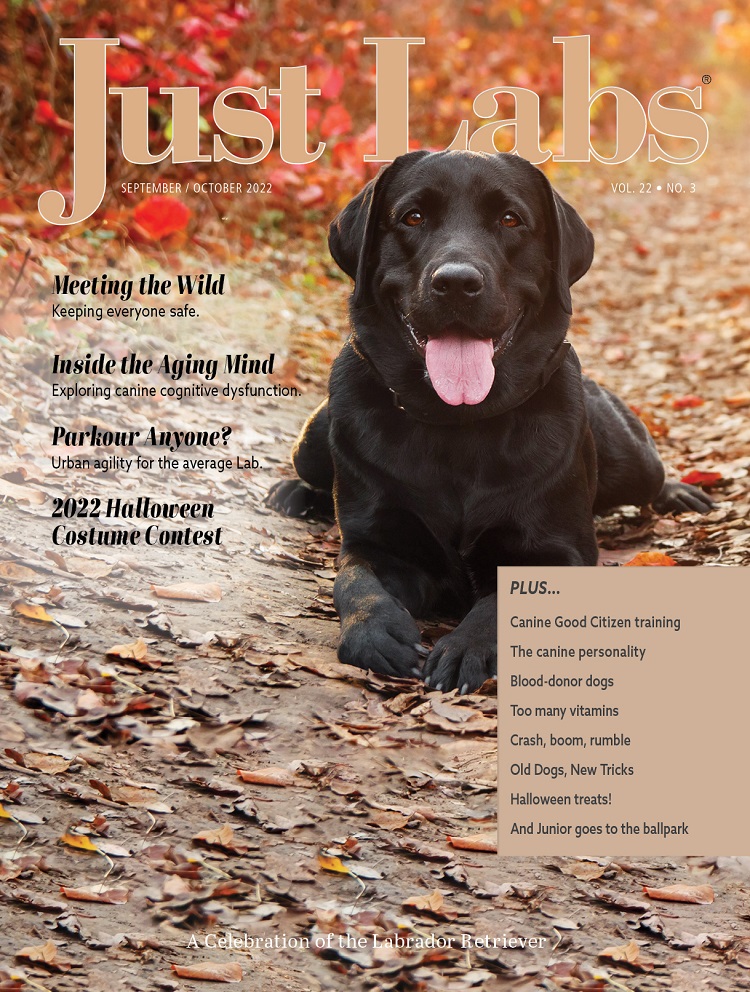 Just-Labs September 01, 2022 Issue Cover