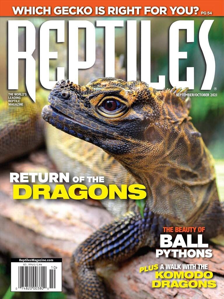 Reptiles September 01, 2021 Issue Cover