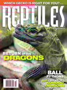 Reptiles September 01, 2021 Issue Cover