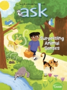 ask January 01, 2019 Issue Cover