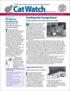 Catwatch February 01, 2019 Issue Cover