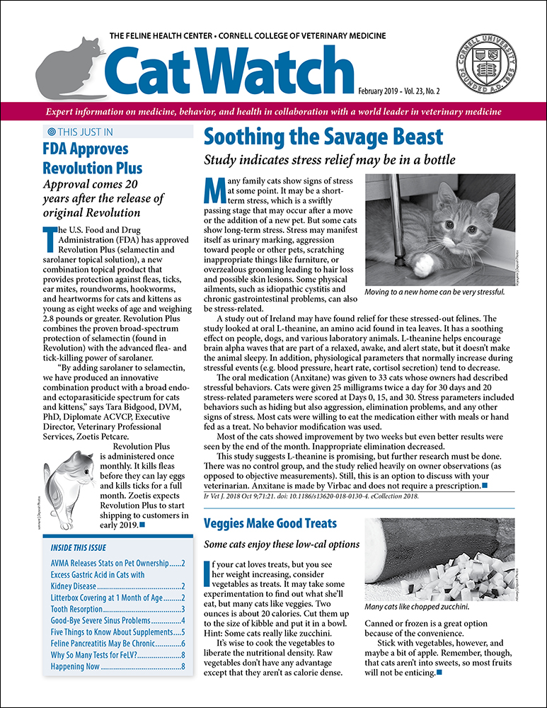 Catwatch February 01, 2019 Issue Cover