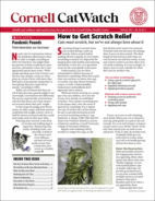 Catwatch February 01, 2022 Issue Cover