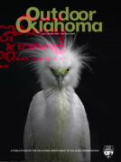 Outdoor Oklahoma July 01, 2025 Issue Cover