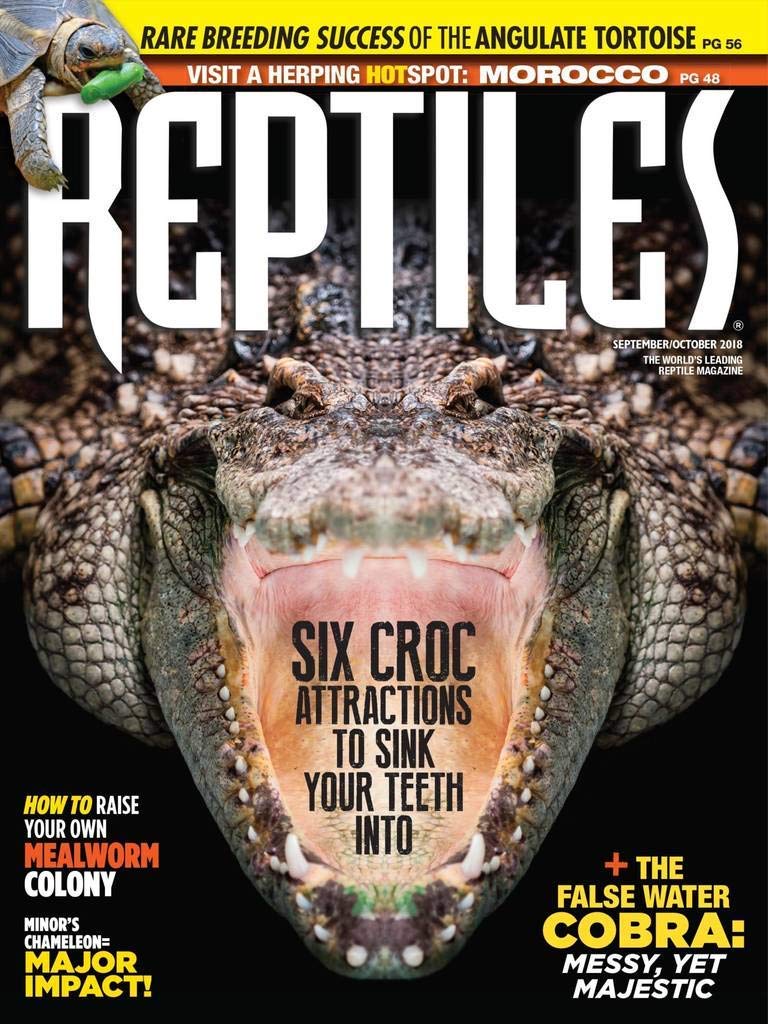 Reptiles September 01, 2018 Issue Cover