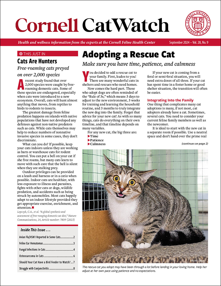 Catwatch September 01, 2024 Issue Cover