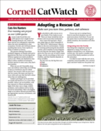 Catwatch September 01, 2024 Issue Cover