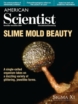American-Scientist November 01, 2024 Issue Cover